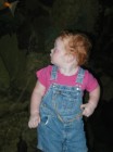 Click to Enter 'P1010212' Page